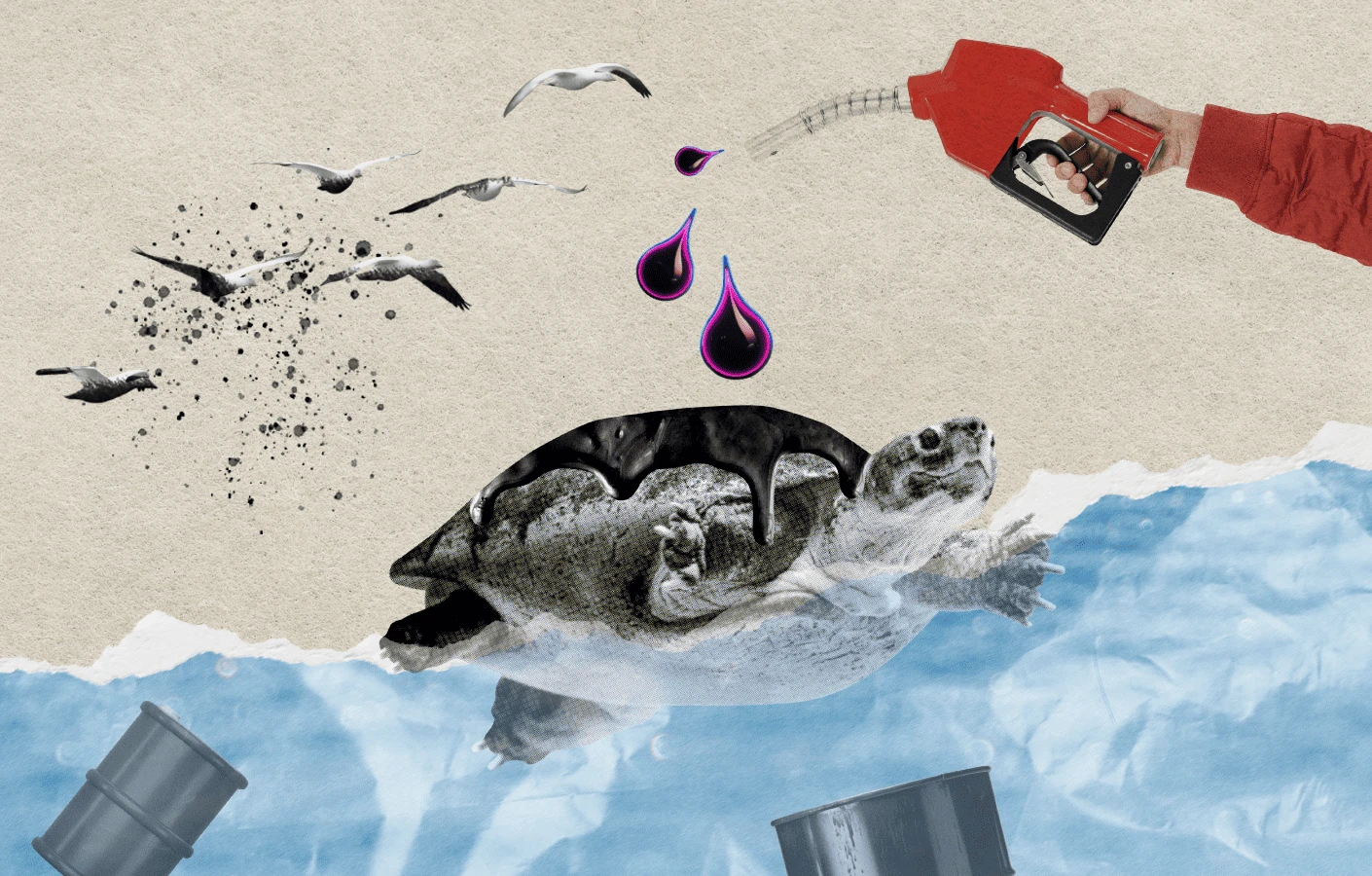 Витік мазуту в Чорному морі: наслідки для екології