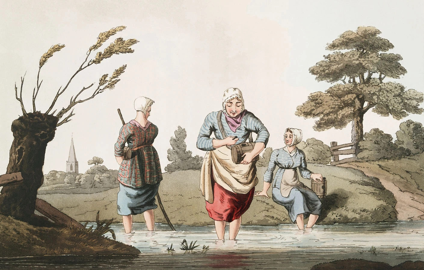 Межі елегантних: як зоологи визначають, де завершуються видові ареали