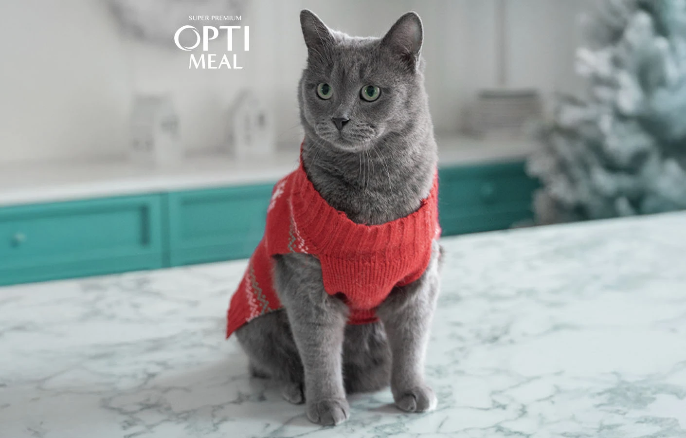 Як зігрівати домашніх тварин узимку?