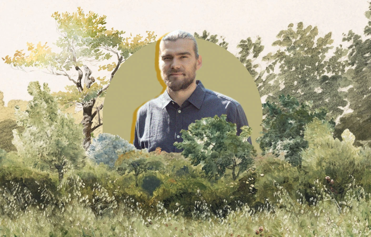 Хто знищує праліси в Україні та як їх зберегти