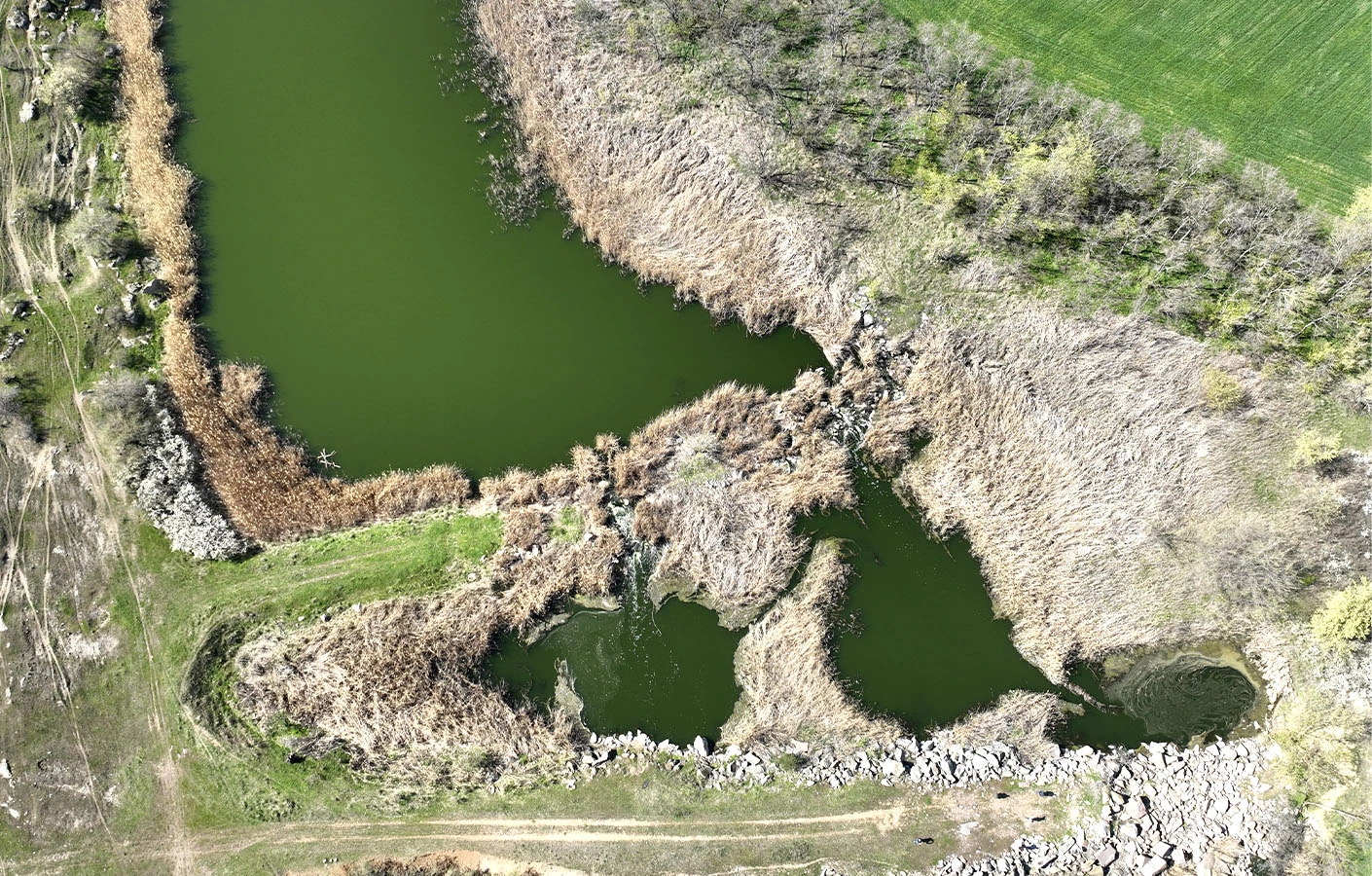 Як громада Вільного Запорожця звільняє власну річку
