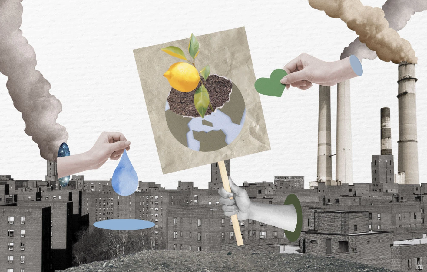 Як зміни клімату зроблять звичні фрукти екзотичними?