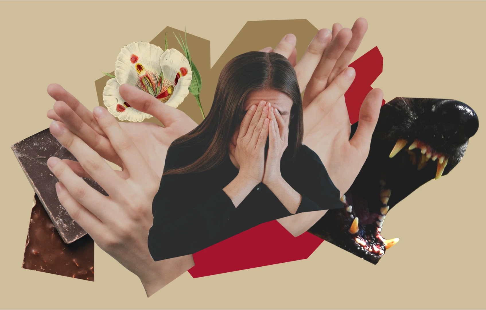 Головний подкаст. Епізод 2: шизофренія