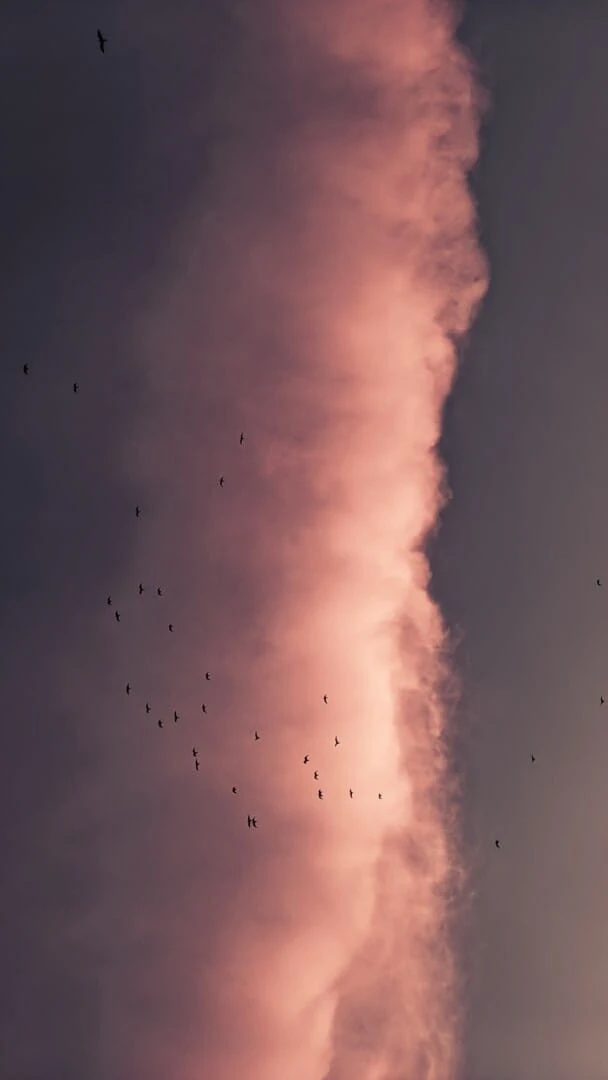 Пам'ятка у разі надзвичайної ситуації або війни