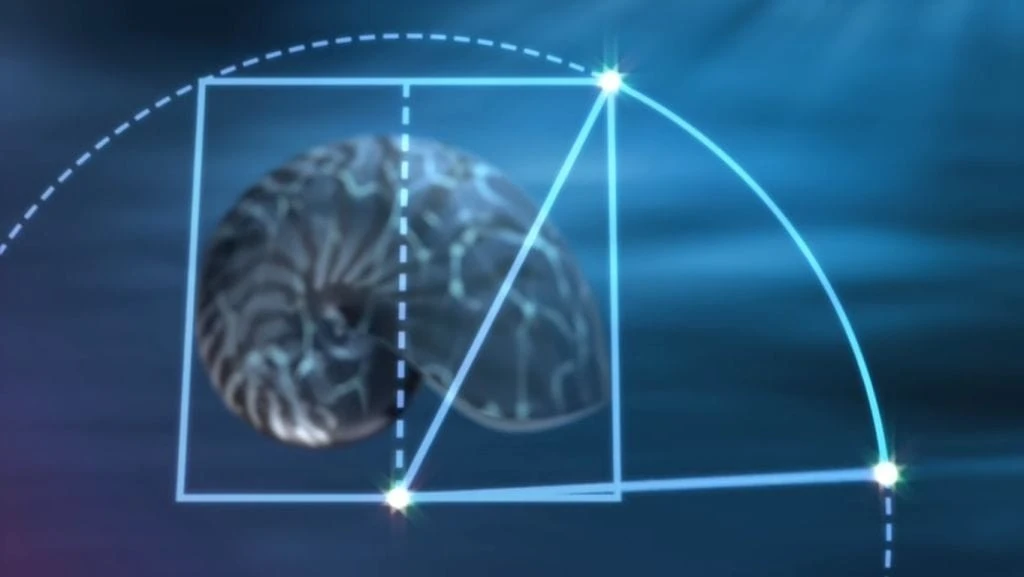 Математика у природі